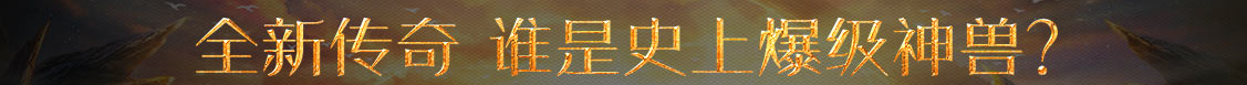 大方县新闻网